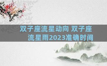双子座流星动向 双子座流星雨2023准确时间